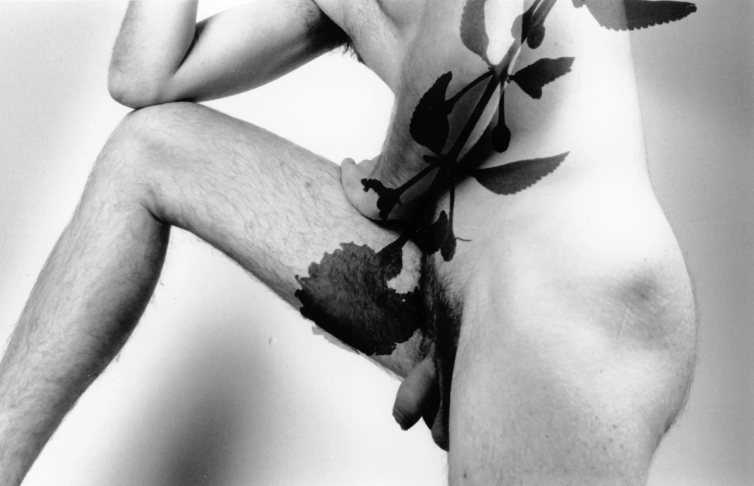 nudesnature006.jpg