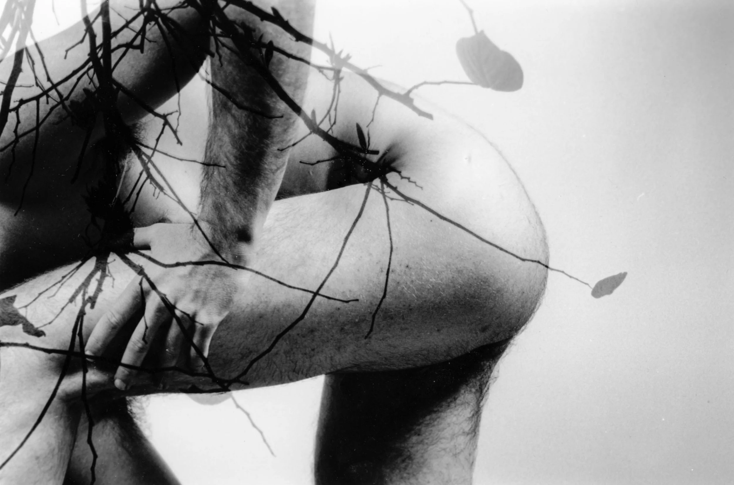 nudesnature002.jpg