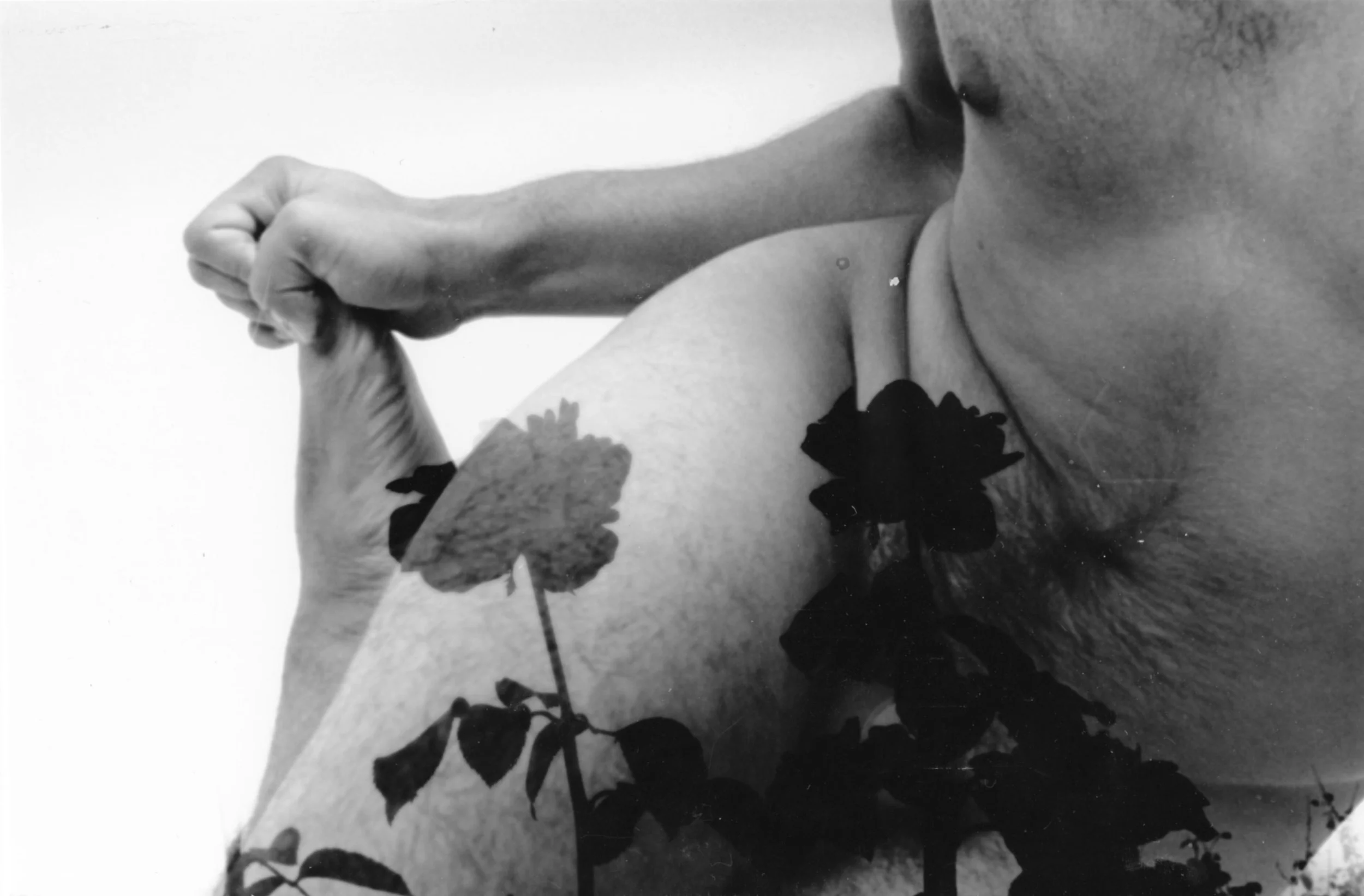nudesnature012.jpg