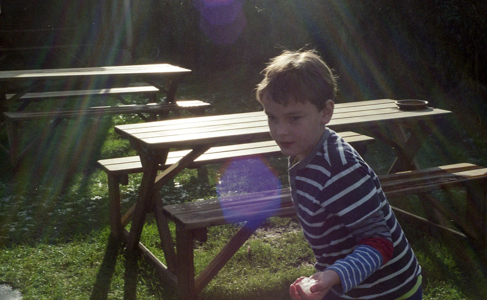 Max, 2017