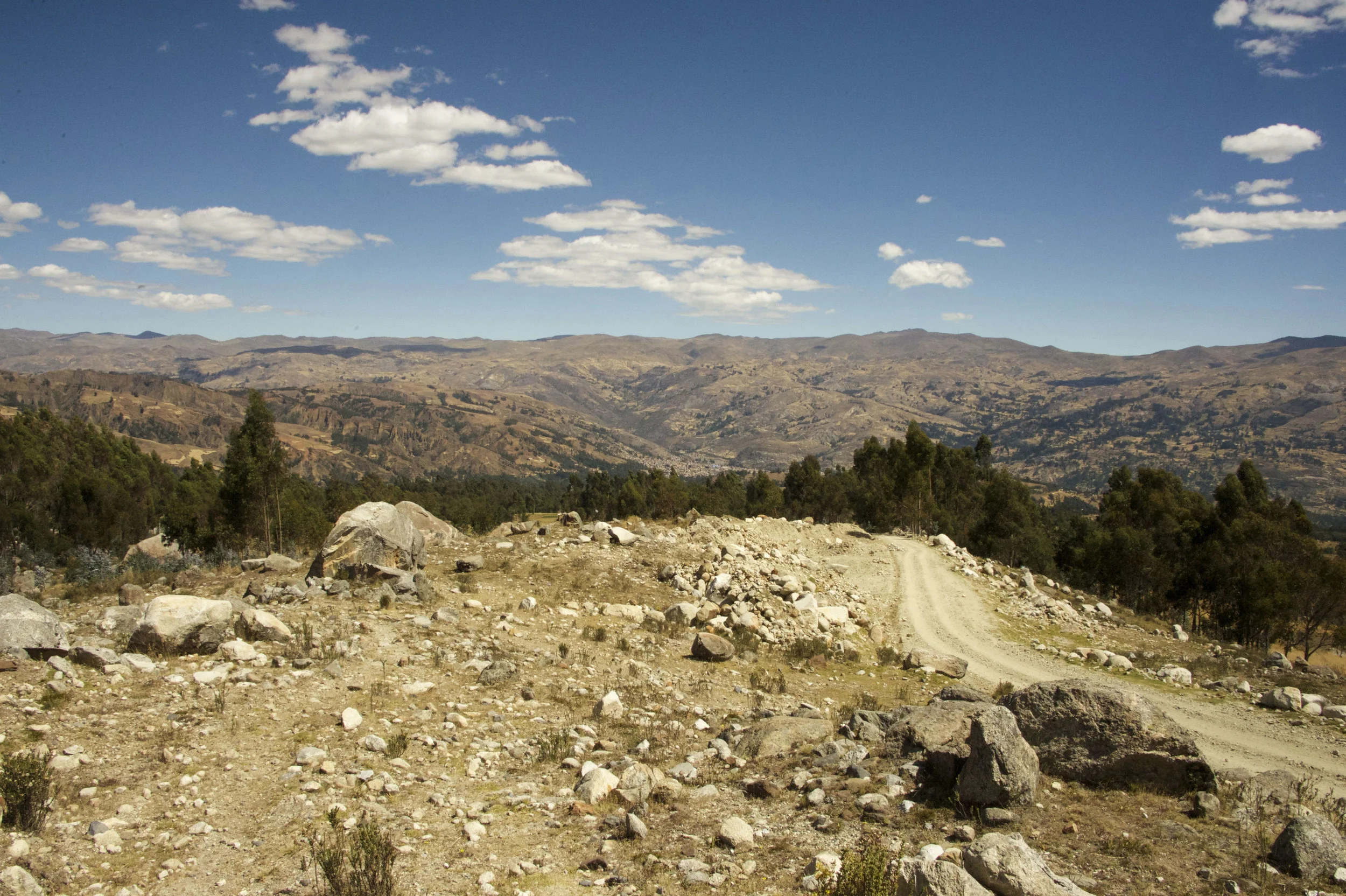 DSC_1469.jpg
