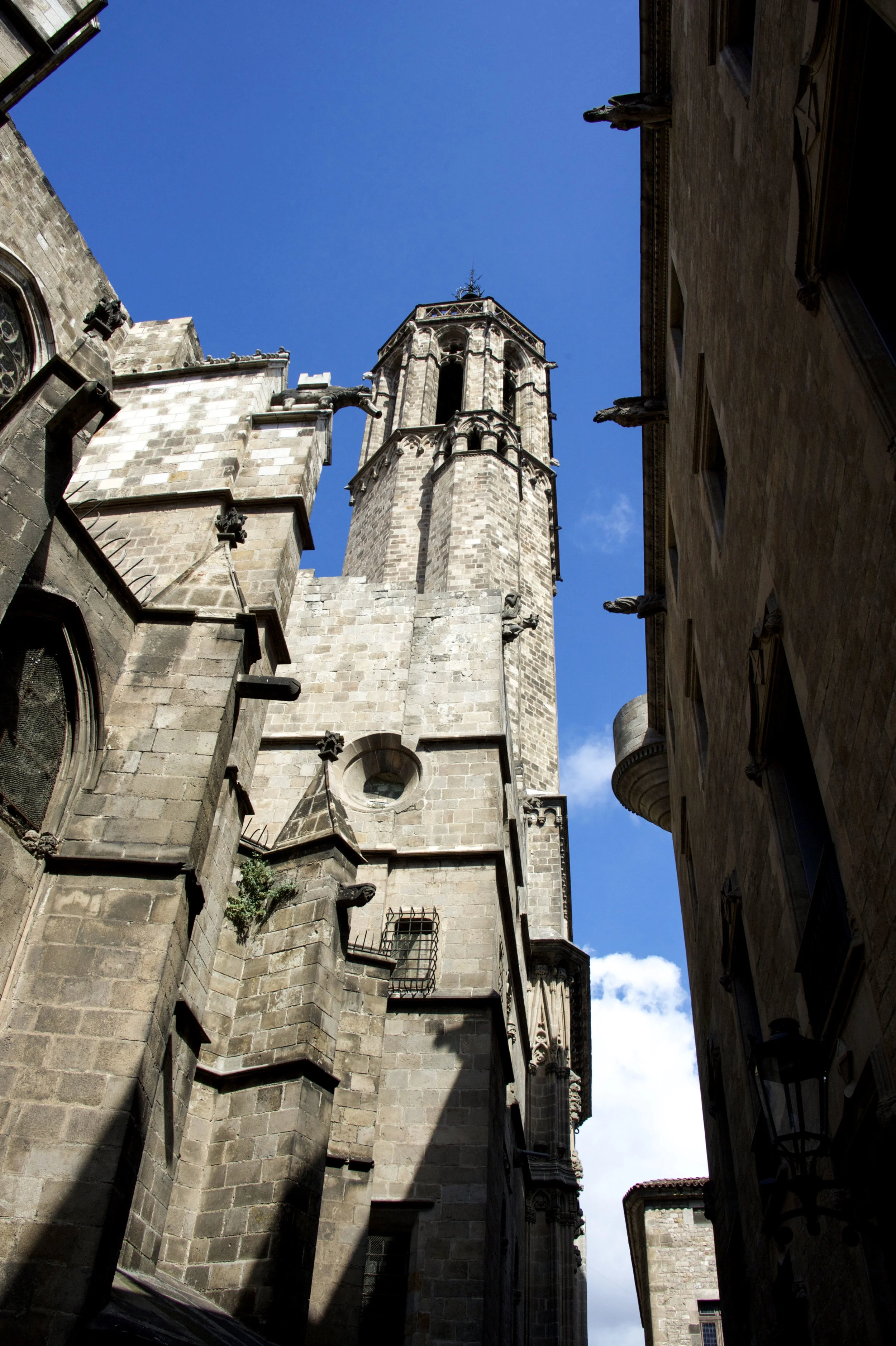 DSC_0402-7.jpg