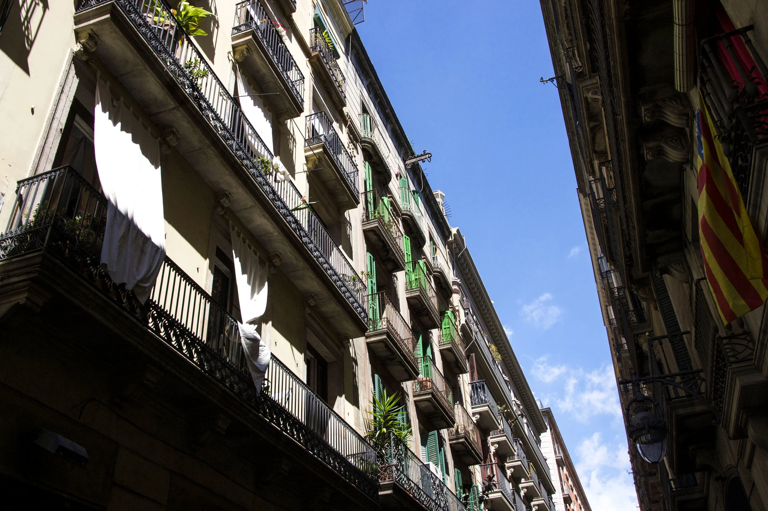 DSC_0416-7.jpg