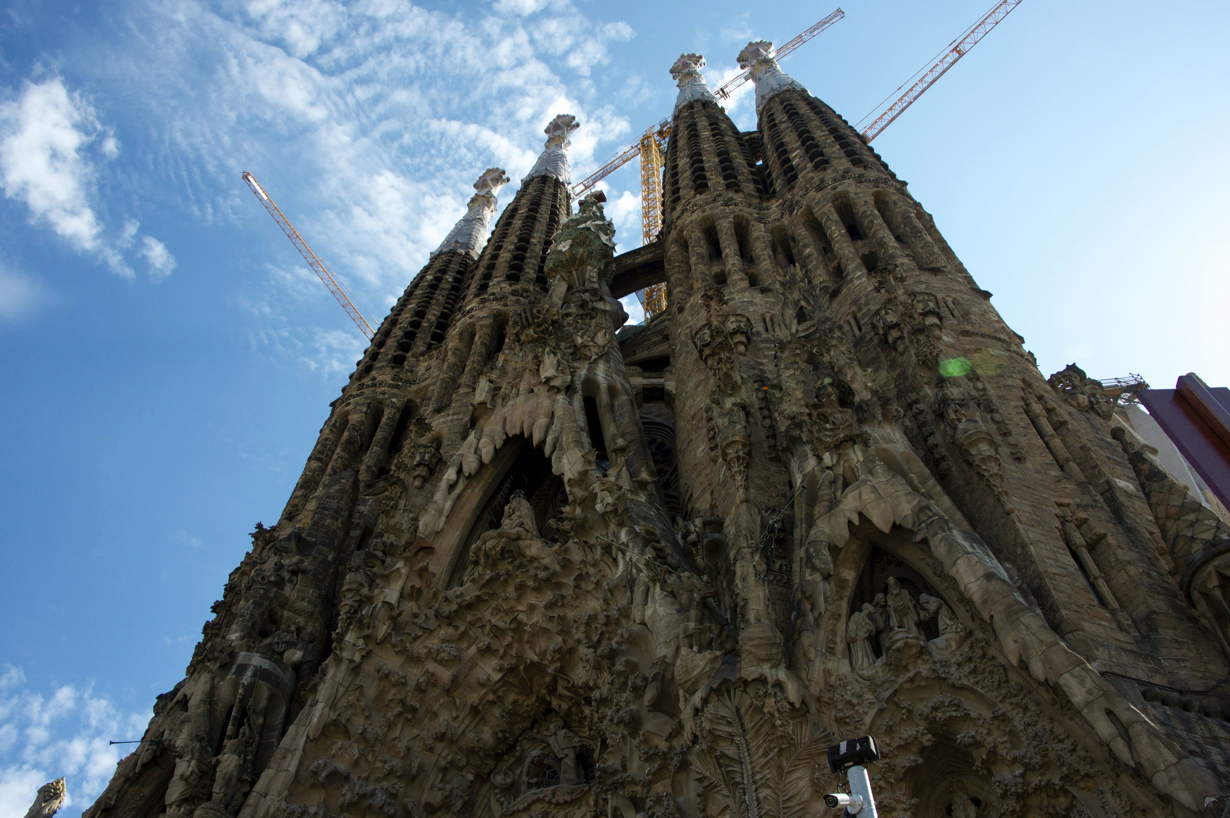 DSC_0420-6.jpg