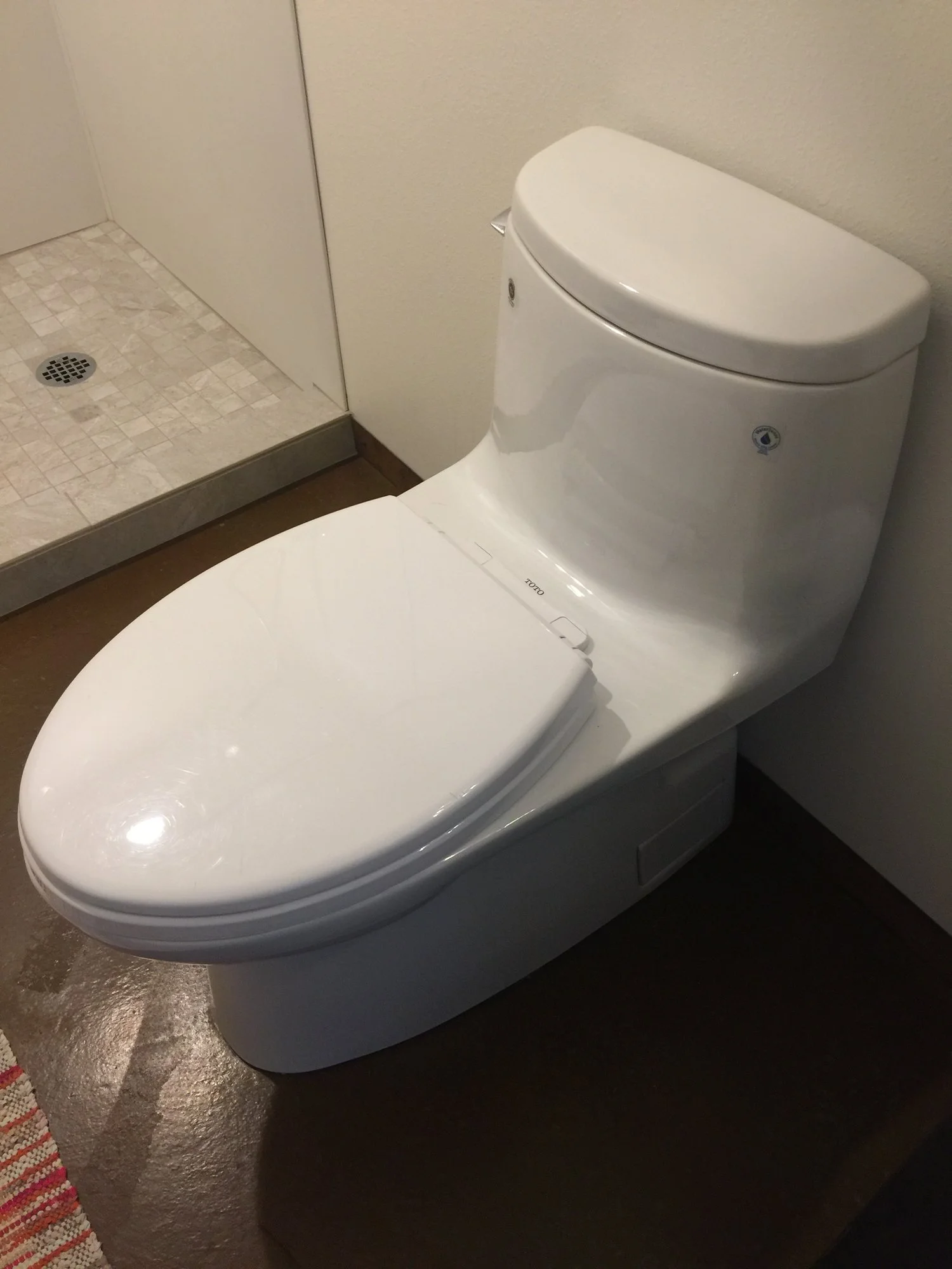 A Single-Flush Toilet in an Eco-Friendly House?