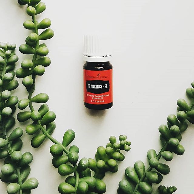 I love that this powerhouse oil comes in the starter kit.
.
I use this oil daily on my face. I put a roller fitament on top (if you haven't tried @youngliving fitaments you must...the are the very best) and roll all over my freshly cleaned face.
.
Di