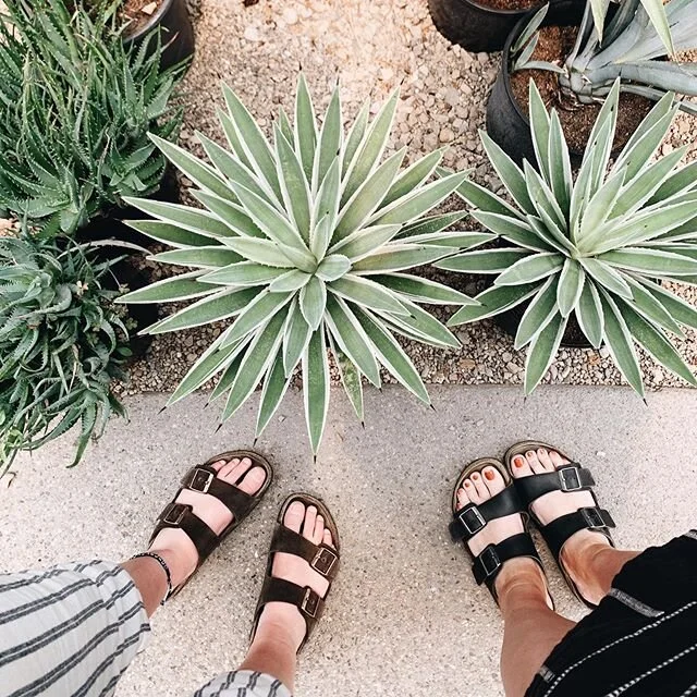 Out exploring with my plant loving girlie today... it&rsquo;s a good thing that gardening isn&rsquo;t my thing or we would have come home with a car load of plants today. I might need go back though... because maybe it is one of my things? Who knows.