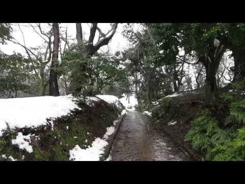 U n i d e n t i f i e d V l o g  3  日本