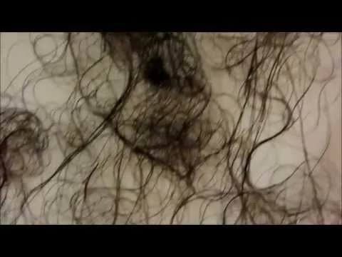 U n i d e n t i f i e d Vlog 1