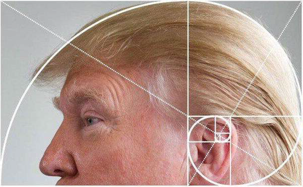 TrumpHair.jpg