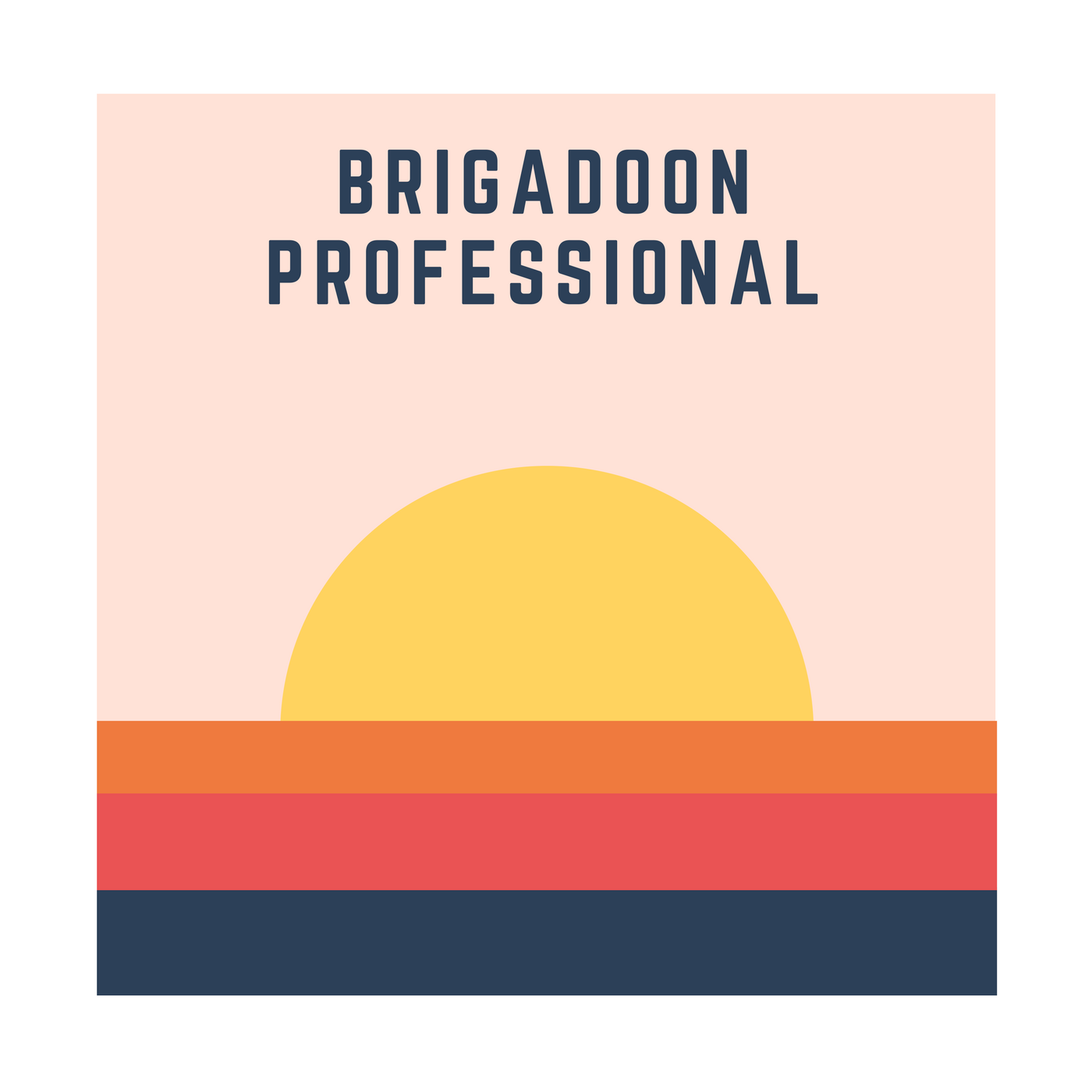 Brigadoon Professional 1.png