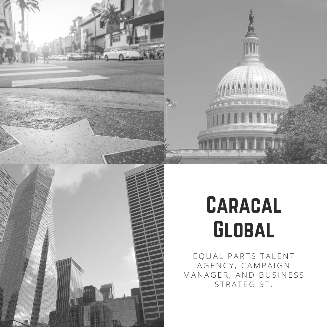 Caracal Global What.png