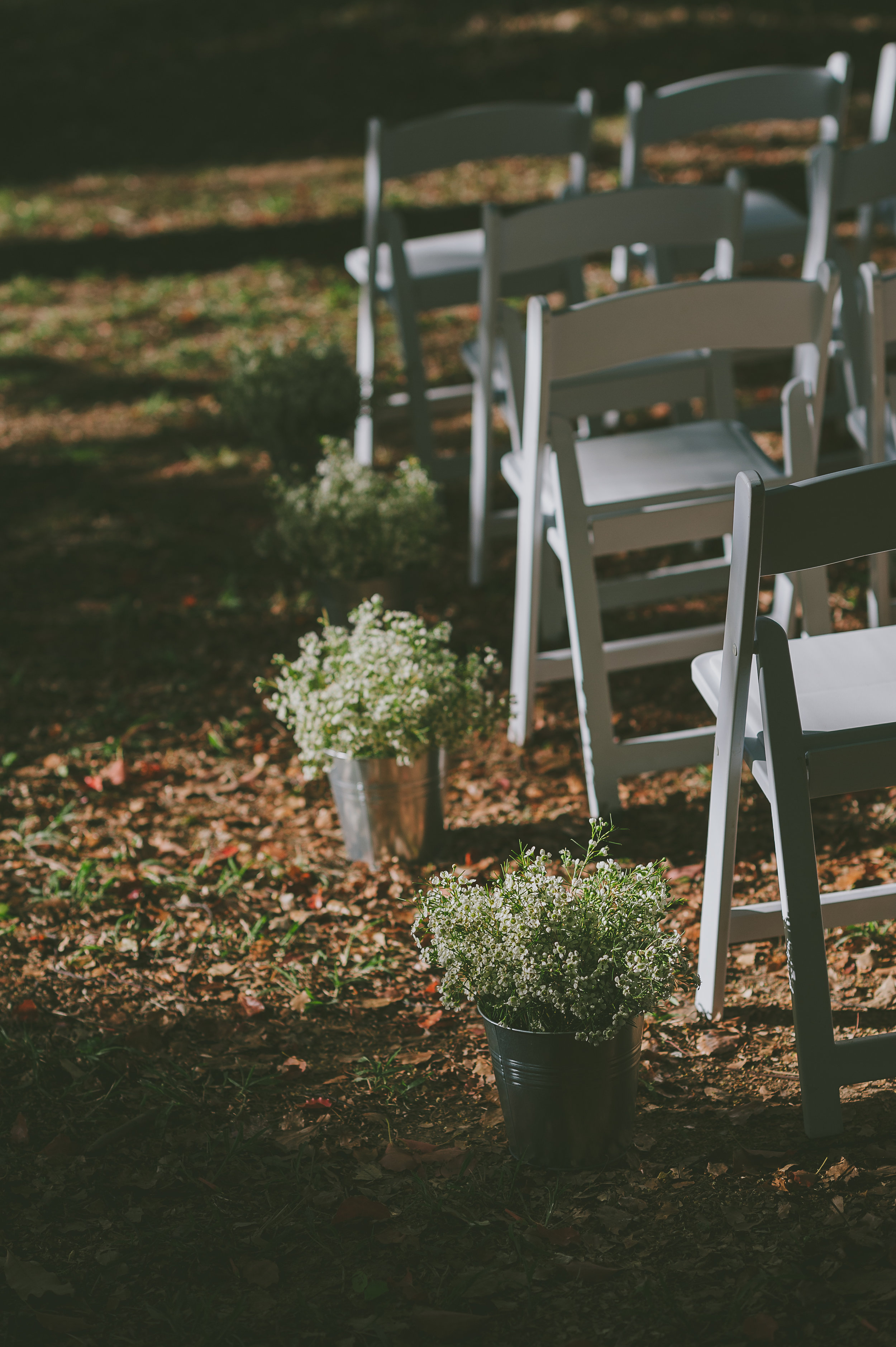 Wedding chairs