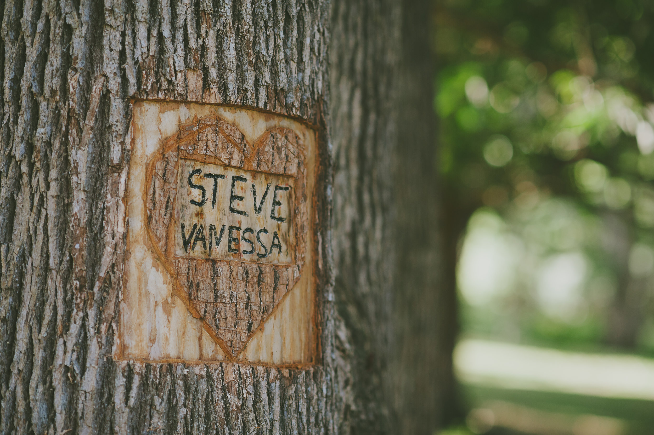 Tree carving