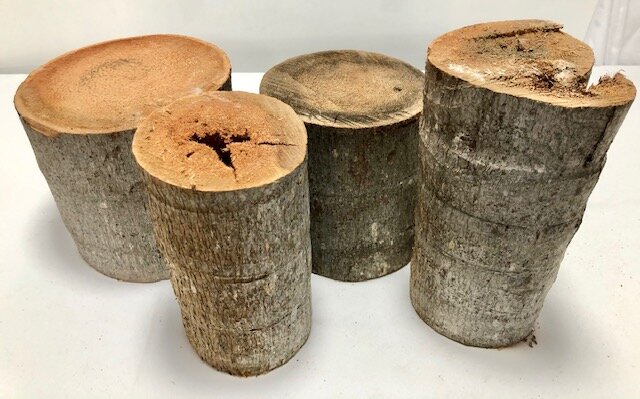 Wood rounds — Celebration Set Ups