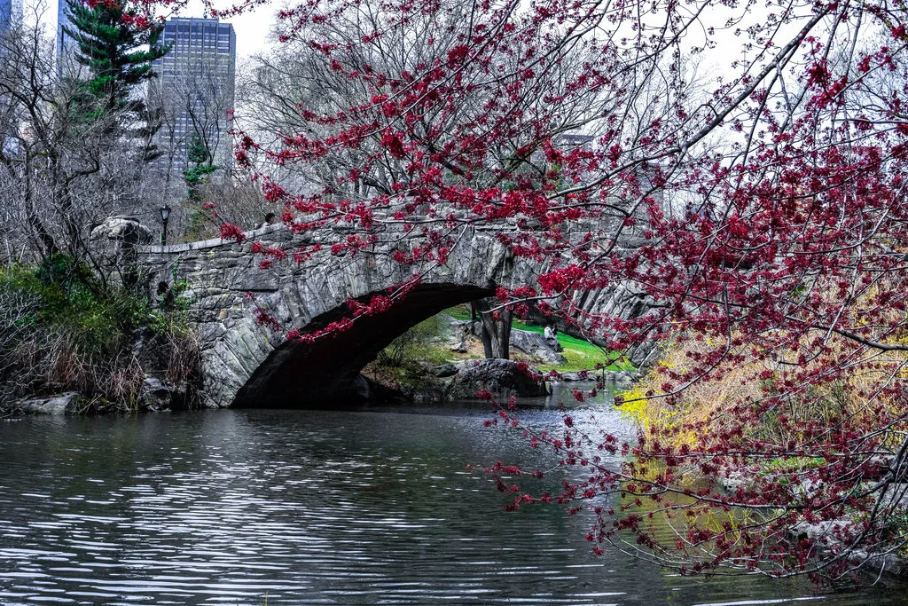 central_park_bridge_by_schematist-d93pz6k.jpg
