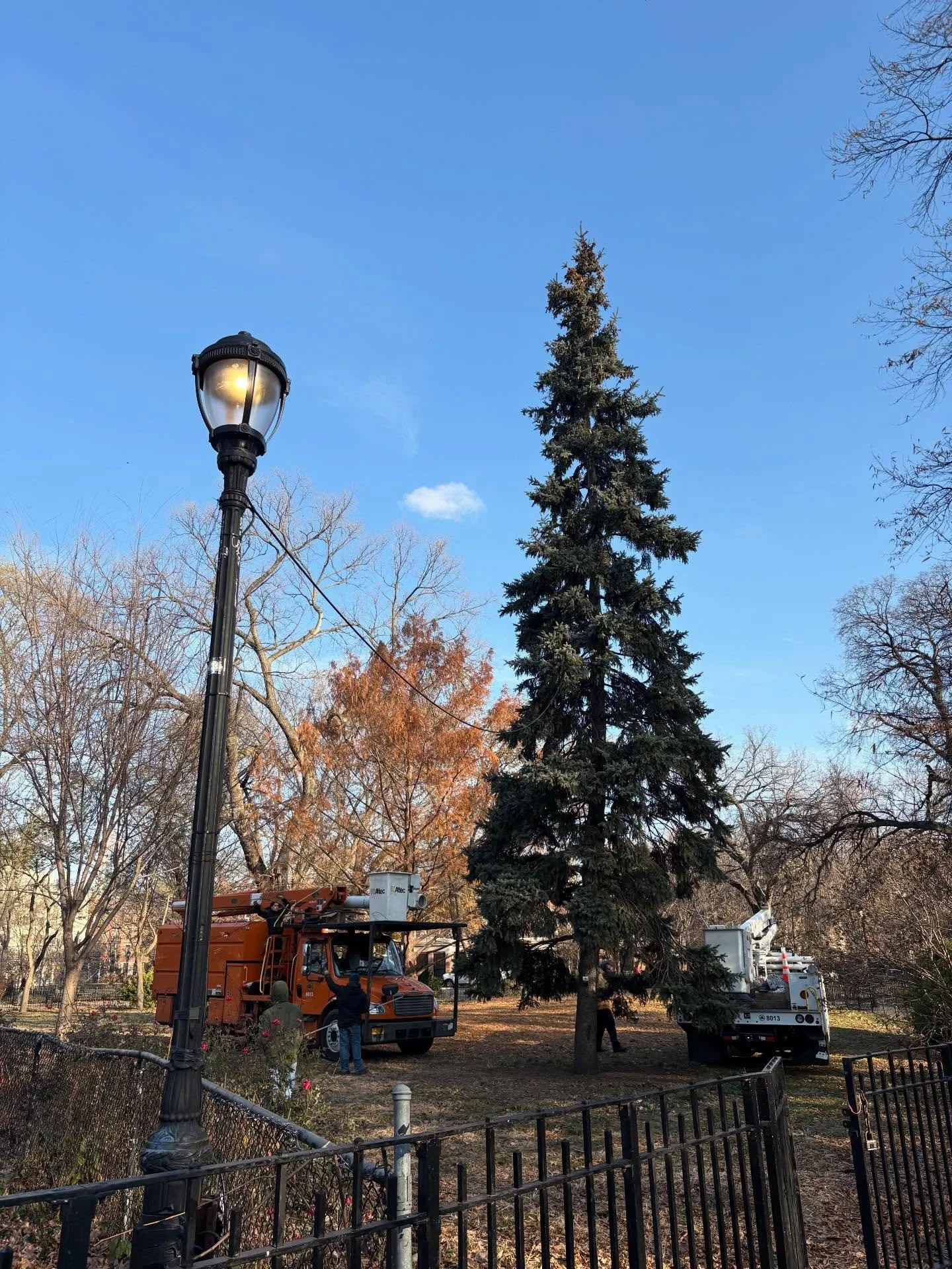 Looks like preparation for the Tompkins Square Park tree lighting is gearing up! One week from today Sun 12/14 from 4-5pm head on down to the park for some East Village holiday cheer! 🎄