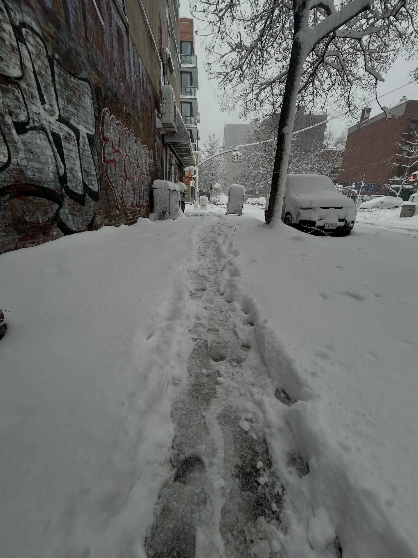 Be safe out there everyone! 
👀 our stories for some East Village businesses that are open or closed. ❄️ 🥶