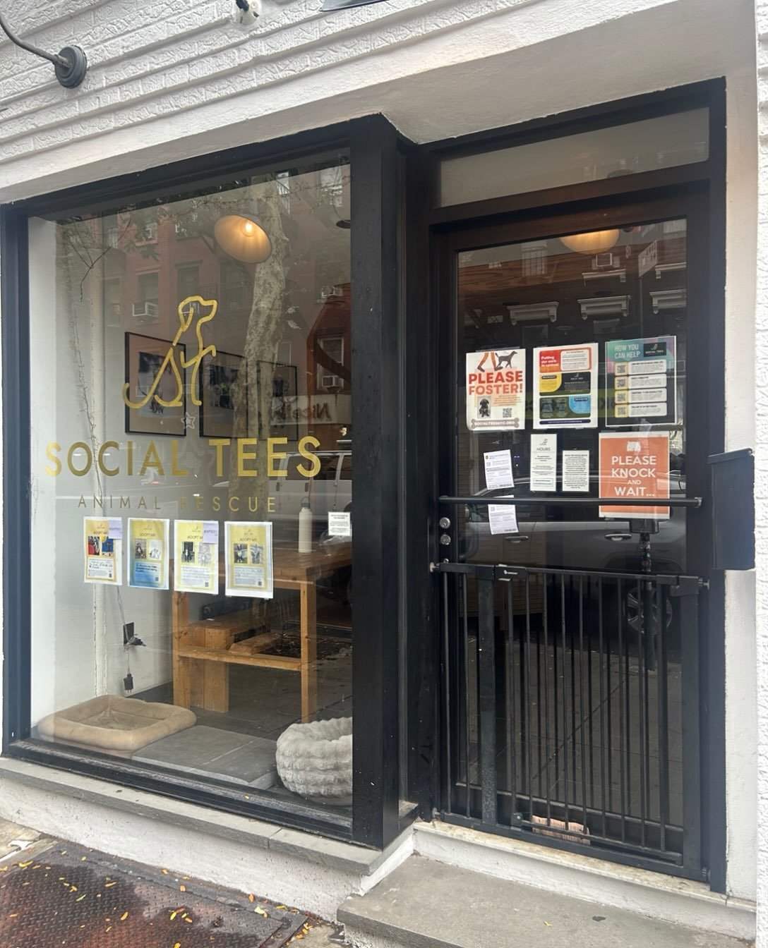 @socialteesnyc 
443 e 9th Street

From Social Tees:
Social Tees Animal Rescue is a non-profit (501c3 ) no-kill rescue in NYC finding forever homes for abandoned dogs and cats.  We are a foster-based, community oriented organization founded on the pri