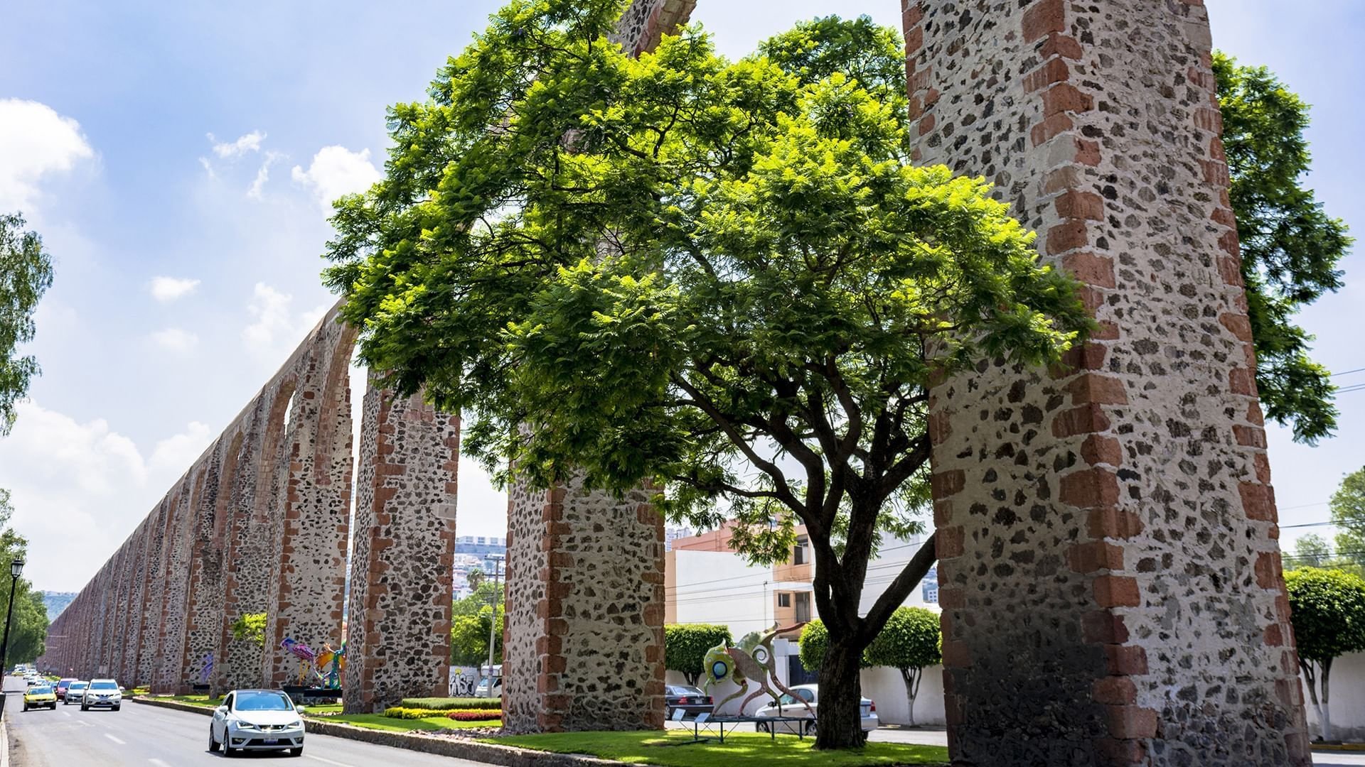 AICC México 2024