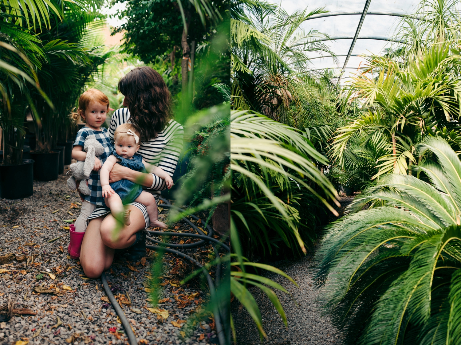 OKC Family Photography Calverts Plant Interiors Greenhouse