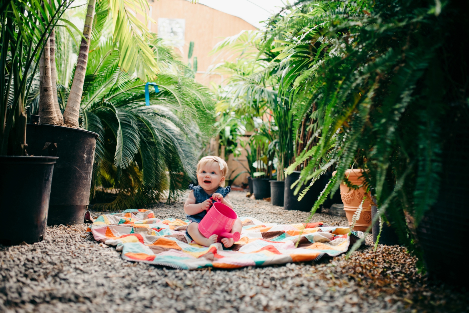 OKC Family Photography Calverts Plant Interiors Greenhouse