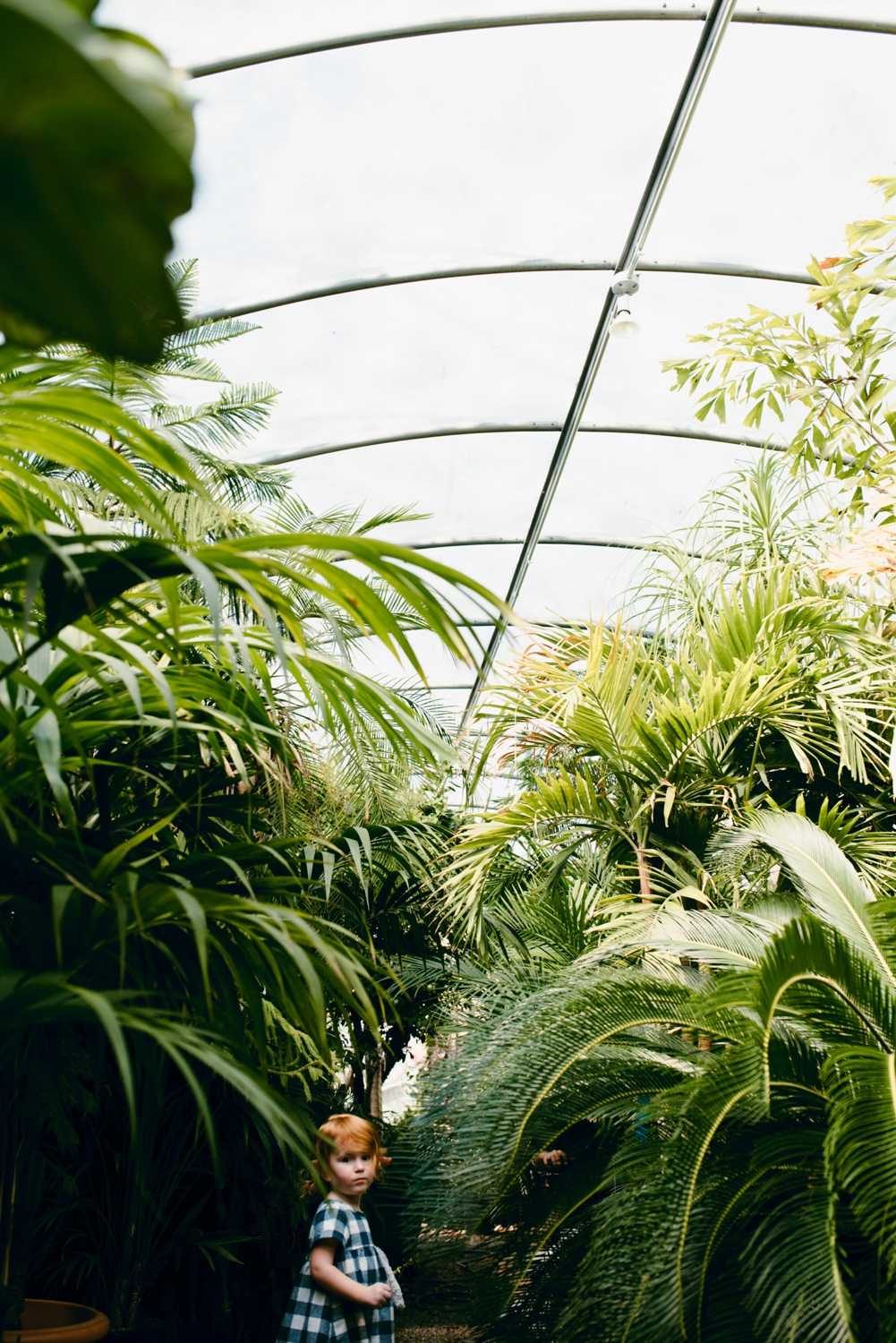 OKC Family Photography Calverts Plant Interiors Greenhouse
