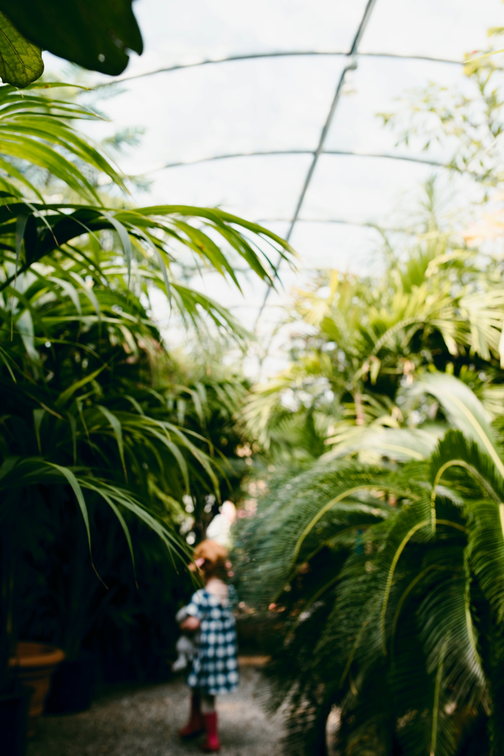 OKC Family Photography Calverts Plant Interiors Greenhouse