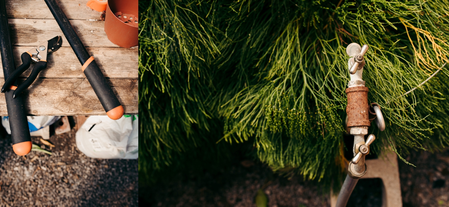 OKC Family Photography Calverts Plant Interiors Greenhouse