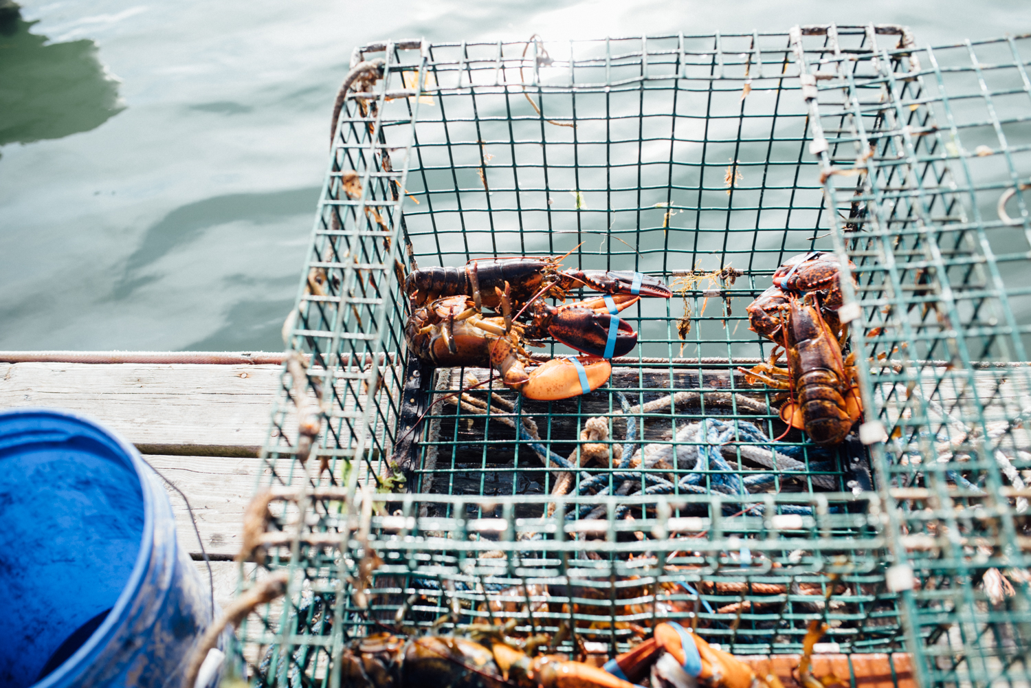 Maine_2016_BLOG-084.jpg