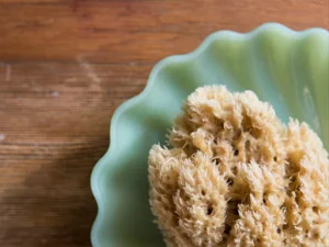 BATH SEA SPONGE