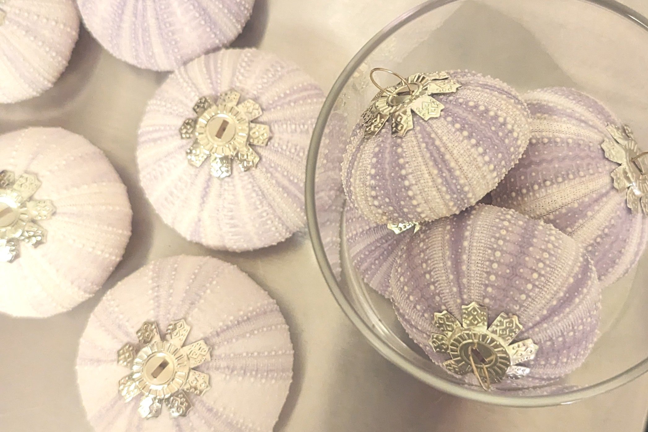 Natural Shell Adornment