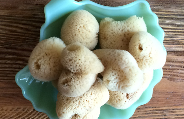 Facial Sea Sponges