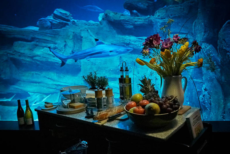 underwater-bedroom_290316_06.jpg