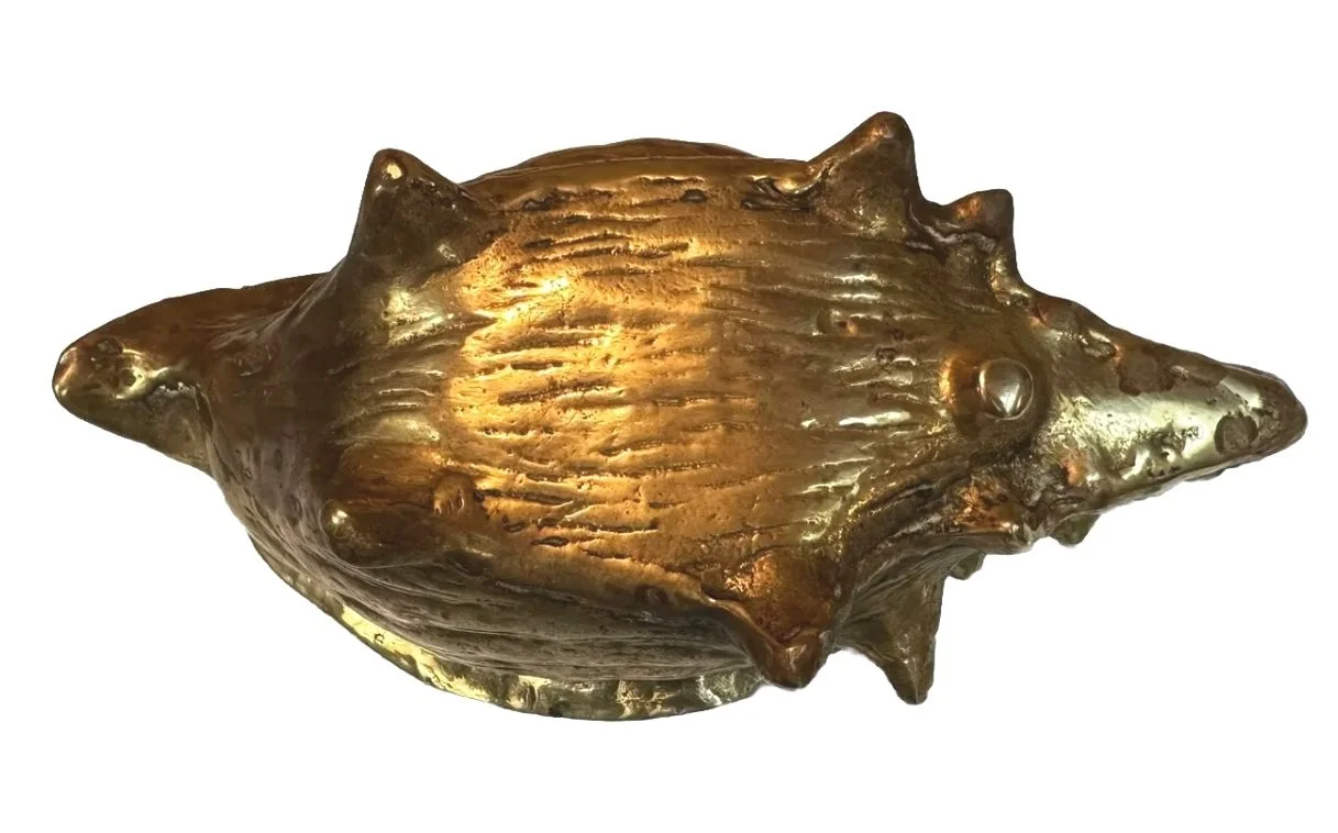 brass_conch_shell_bottom.jpg