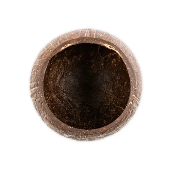 Coconut Cup Top View.jpg
