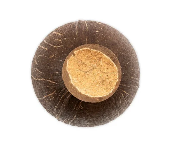 Coconut Cup Bottom.jpg