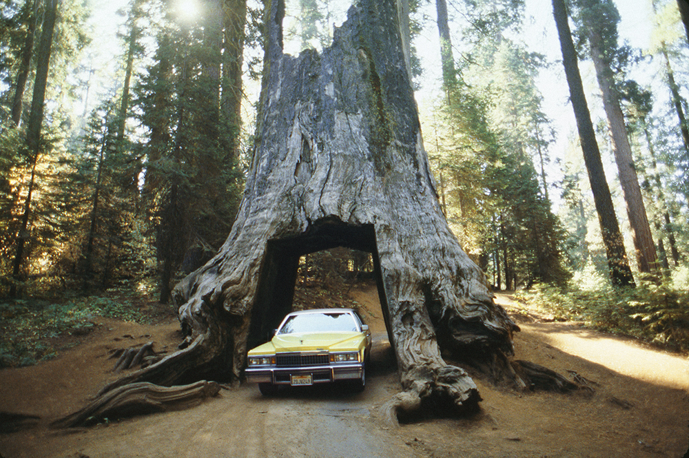 Dad's yellow Cadillac, near Yosemite, CA. October 1988.jpg