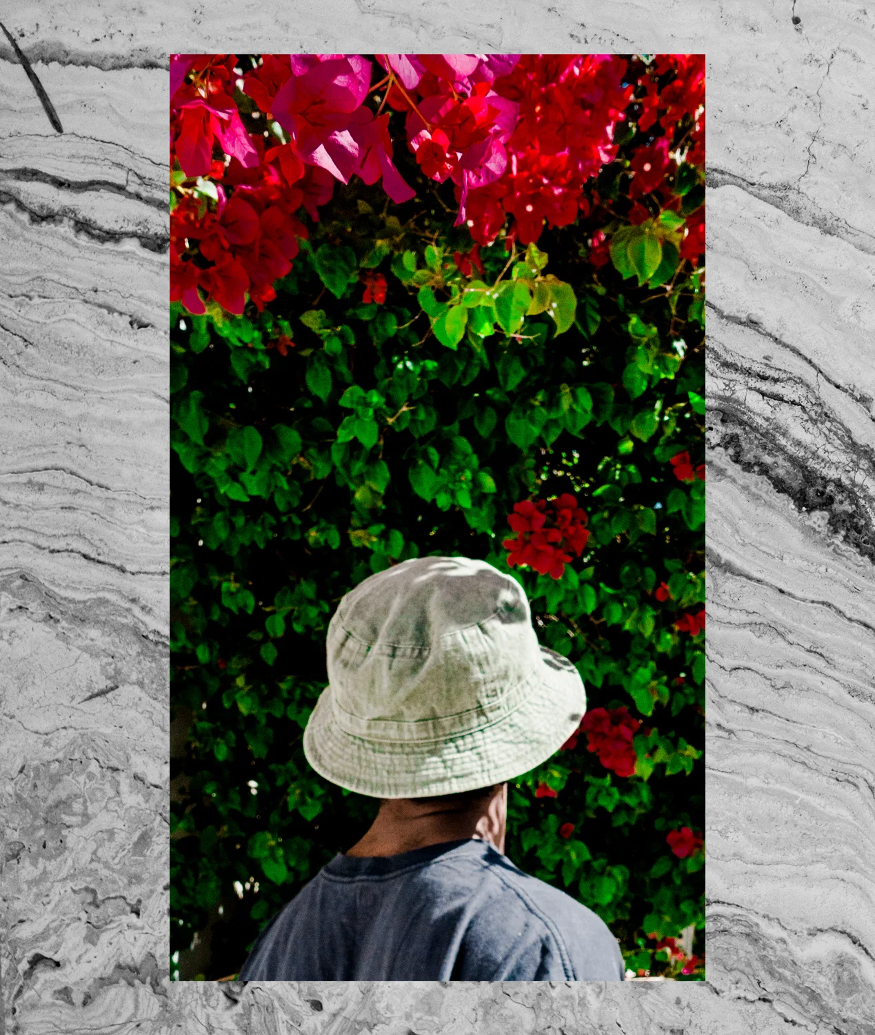 Robert LeBlanc for Animals Mag_ KNX 2.jpg
