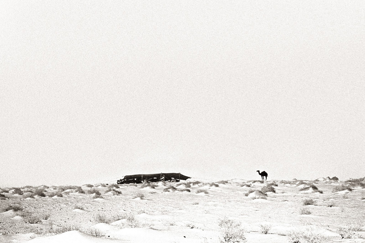 D1_SA08F27.jpg