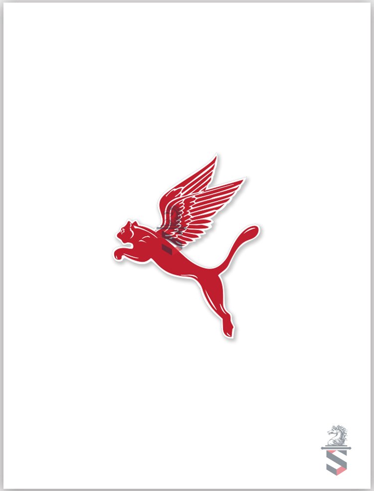 Puma .jpg