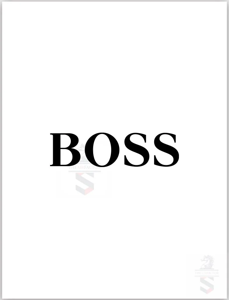 BOSS HUGO.jpg