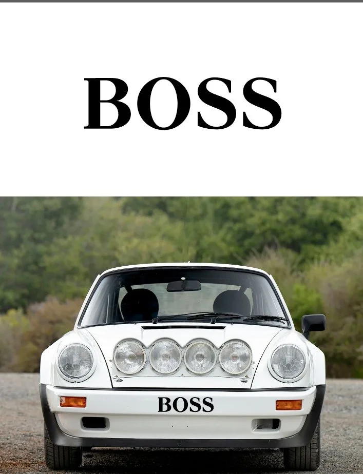 BOSS.jpg