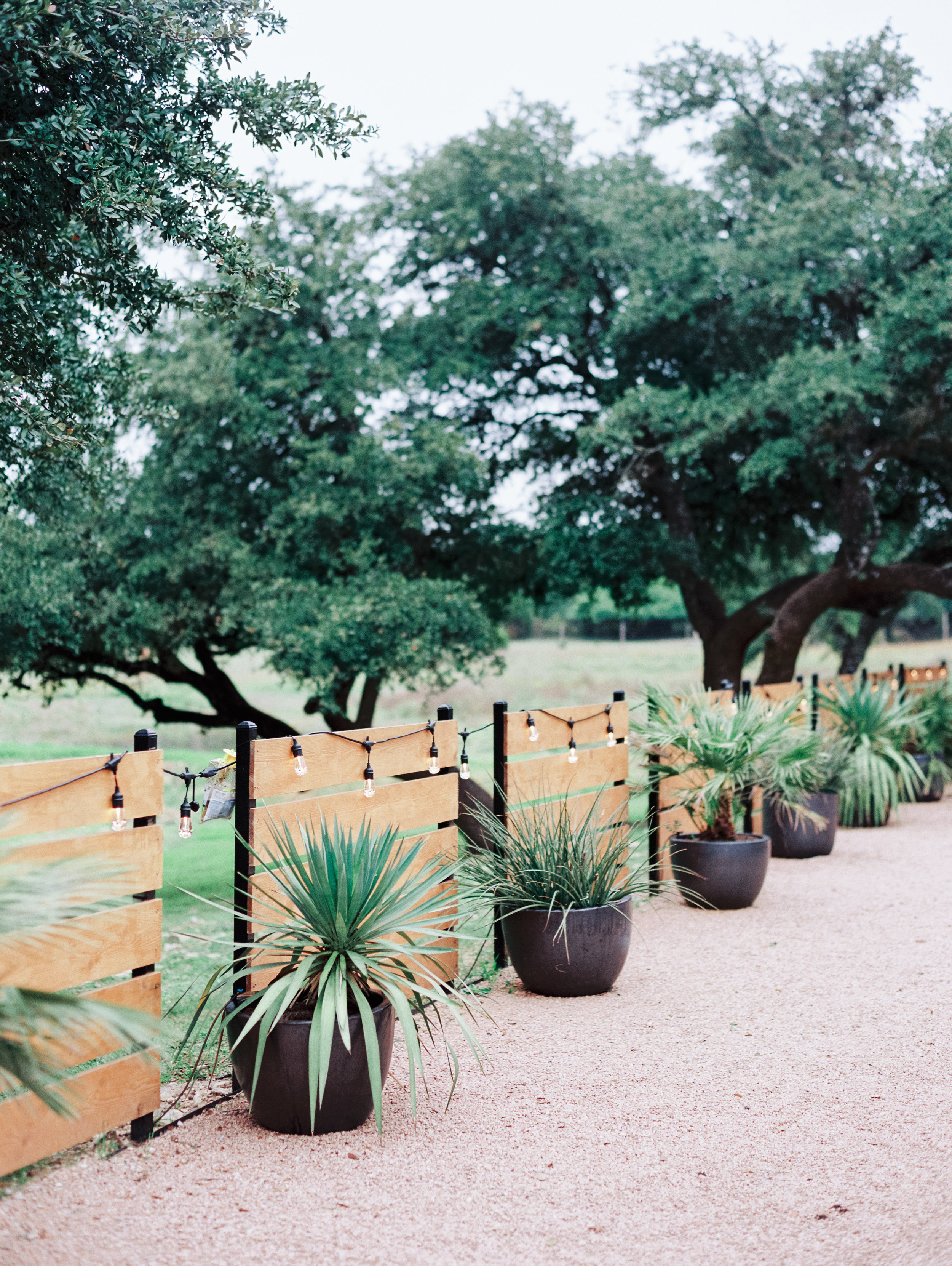 11.11.18 WEDDING_Rory+Devon_Reception-2.jpg