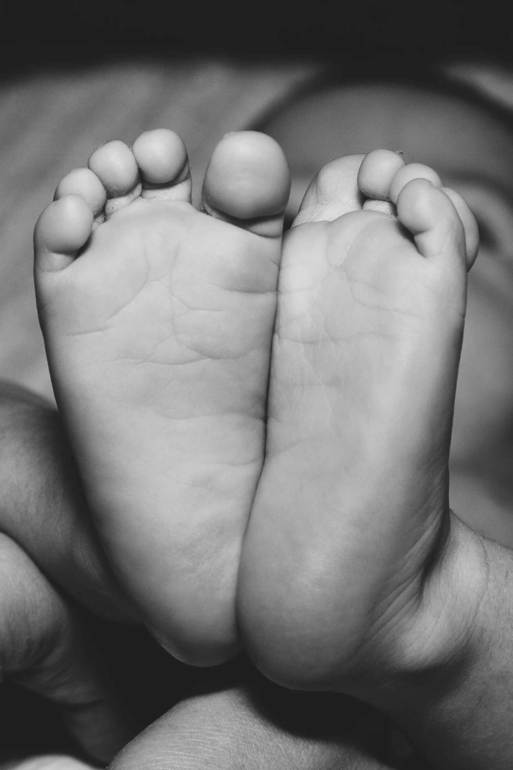 Camden newborn-22.jpg
