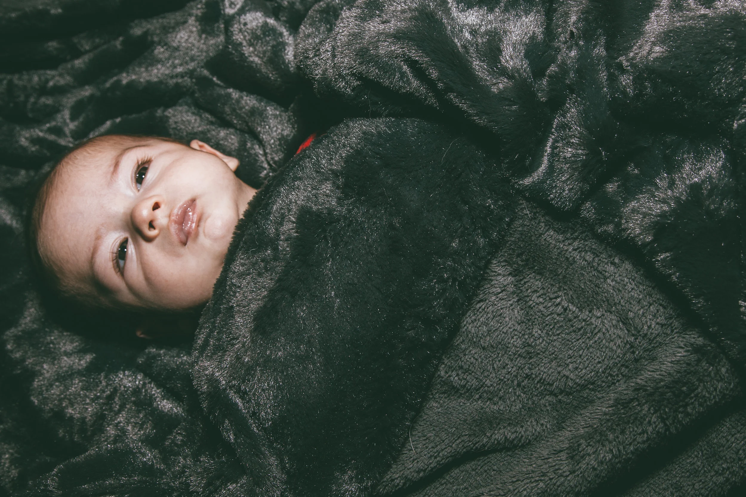 Camden newborn-32.jpg
