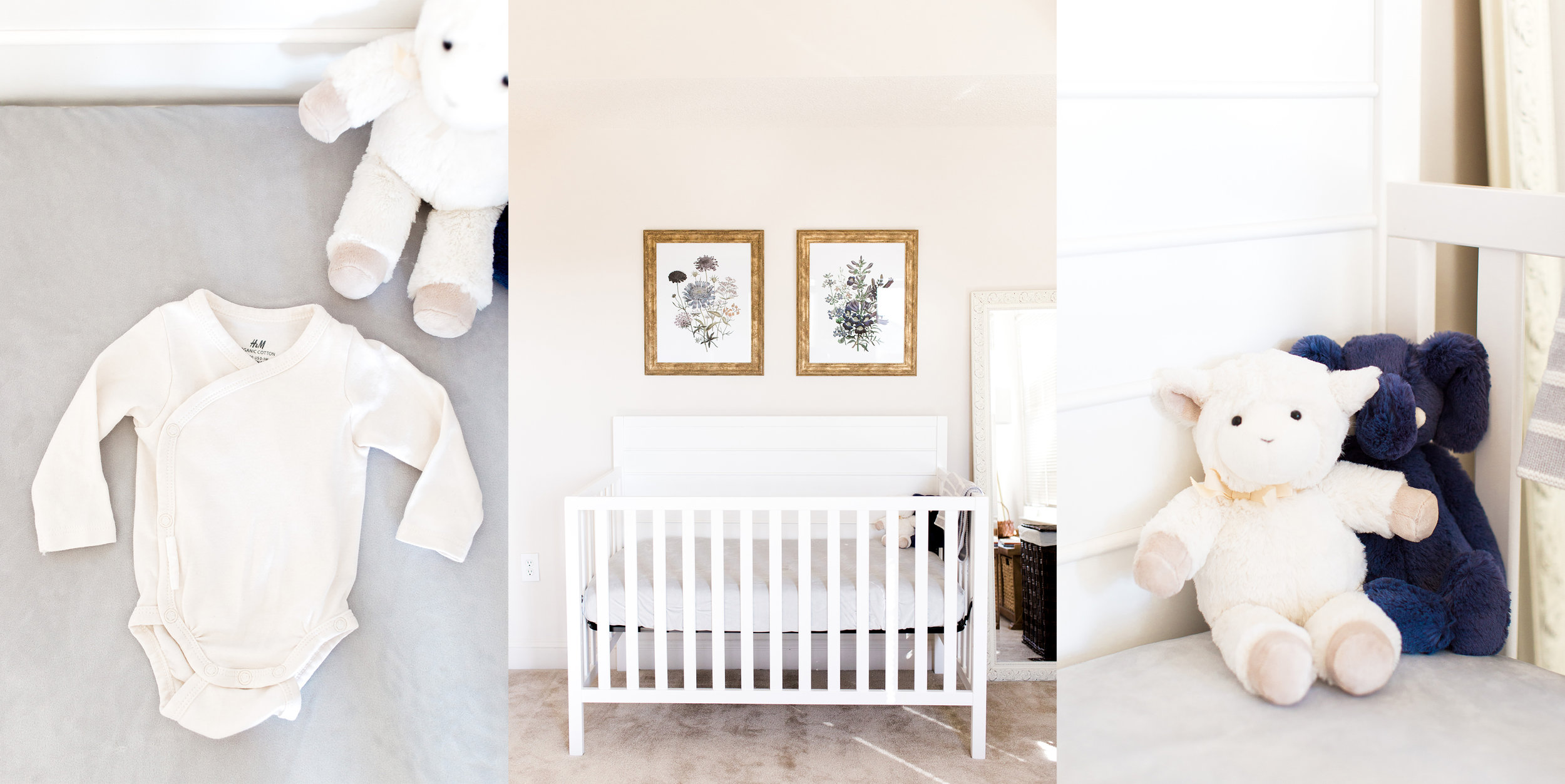 EMILYBOLTPHOTOGRAPHY-nurserydetails.jpg
