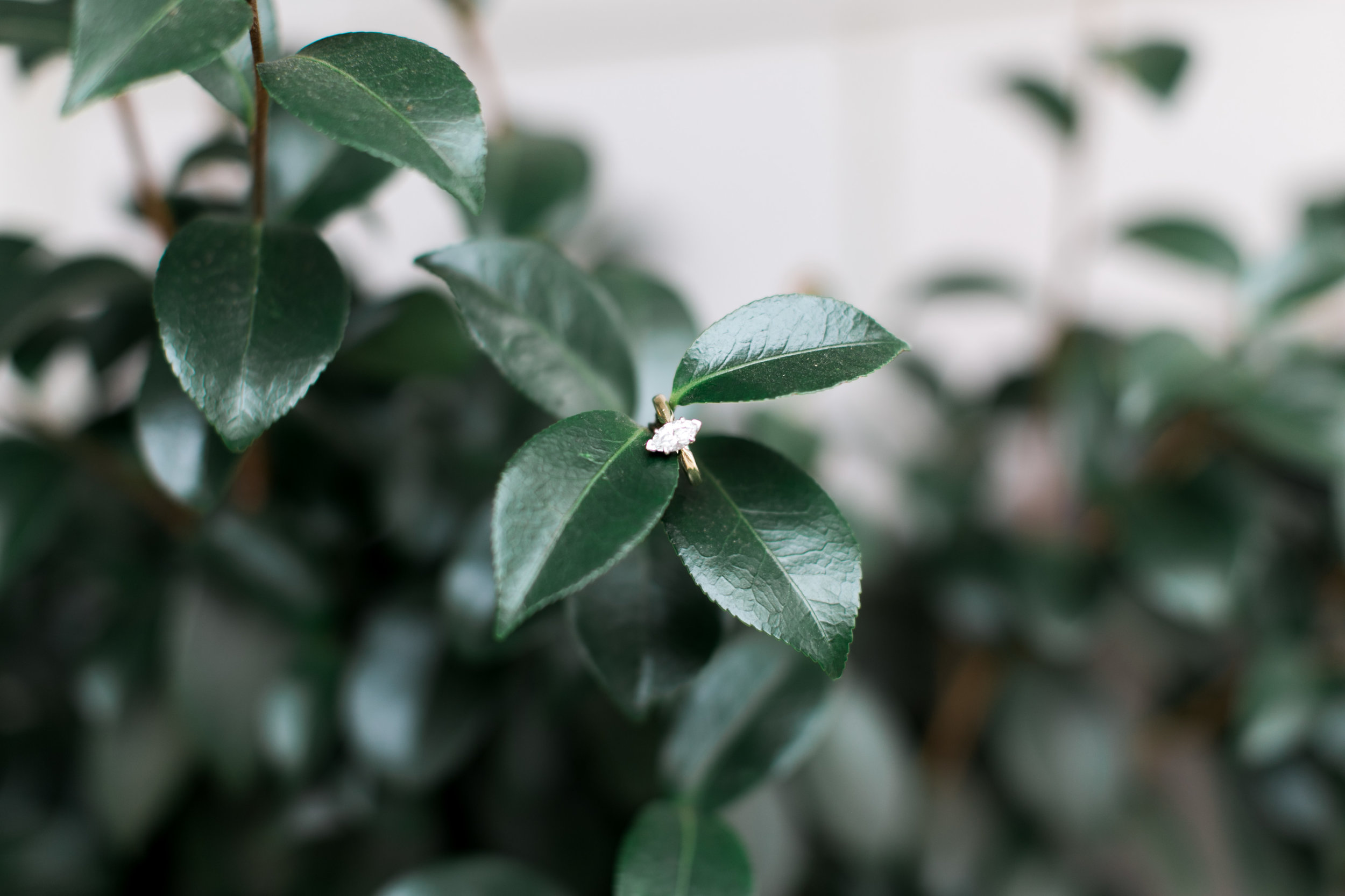 EMILYBOLTPHOTOGRAPHY-204.jpg