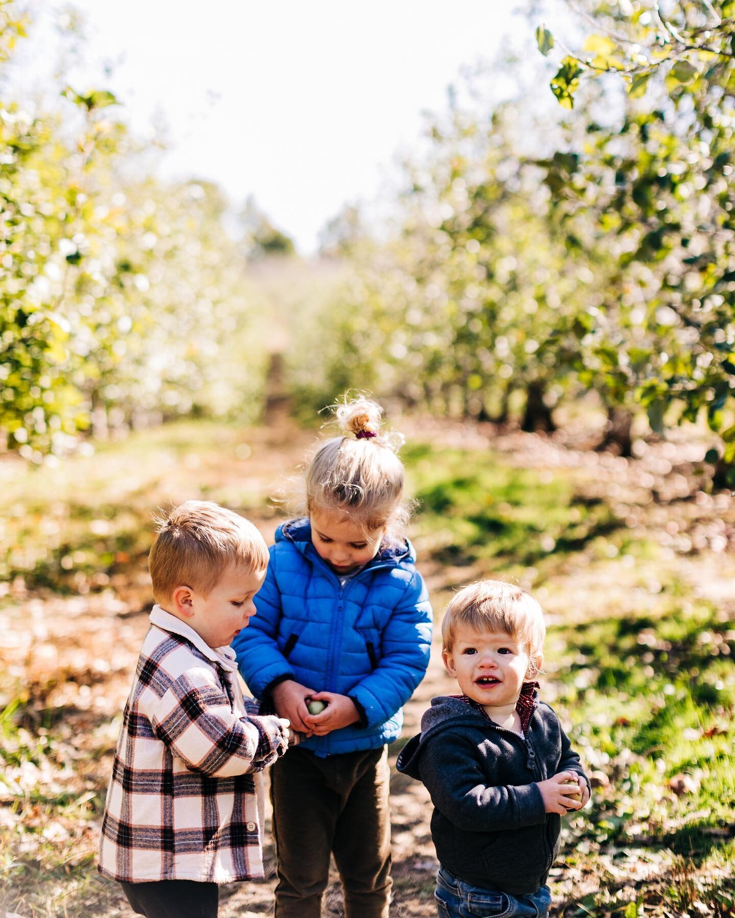 Were the apple cider donuts and slushees worth the chaos that is doing anything with toddlers? Jury is still out 🤣 Attempted some fall festivities with our faves this morning 🥰