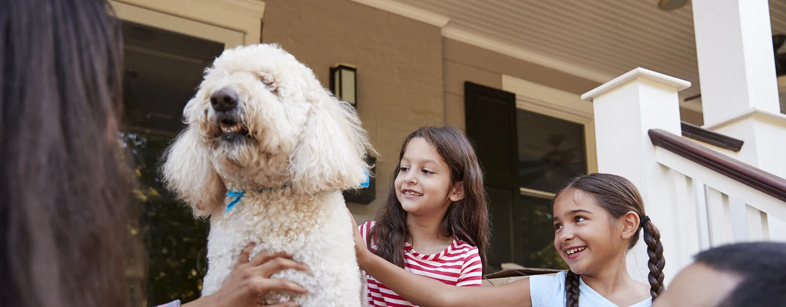 guardian family for dog